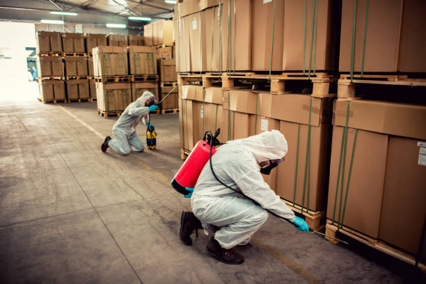 Wildlife Control Services in Brookhaven, MS